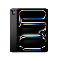 APPLE iPad Pro 11" (M4), 512GB, Wi-Fi, standardno staklo, sivi